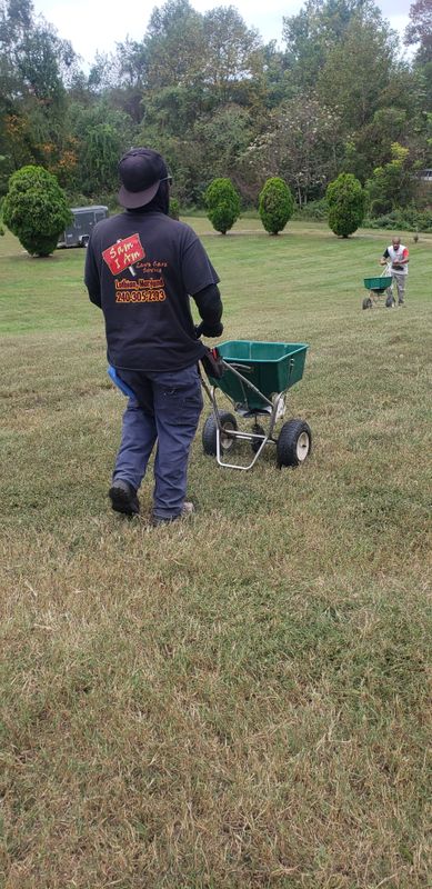Aeration and Overseeding