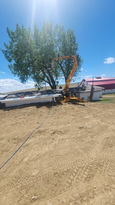 Tree Removal
