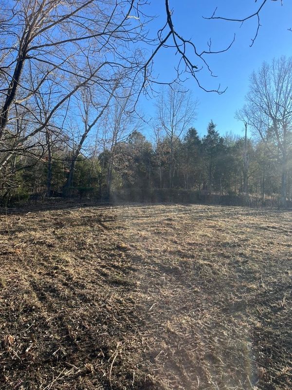 Brush Clearing