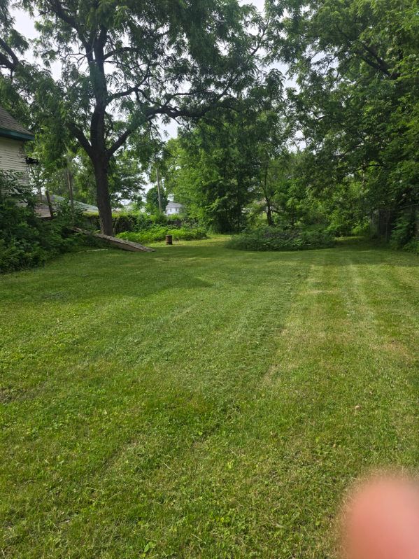 Lawn Care & Maintenance