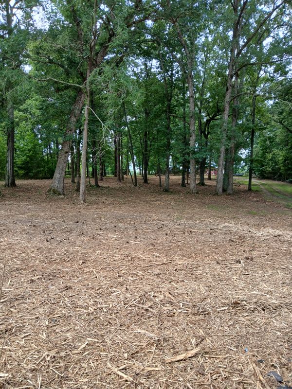 Forestry Mulching
