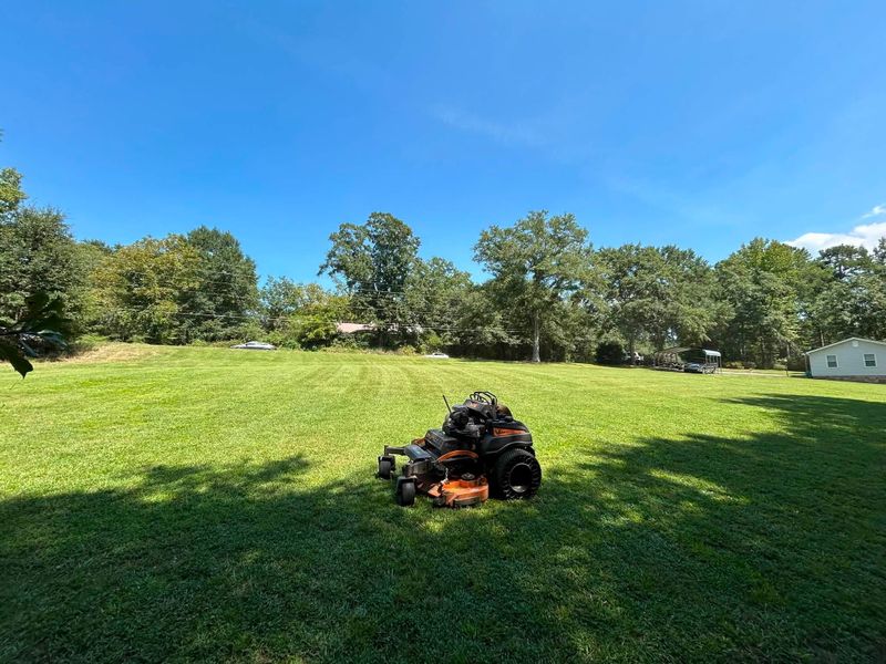 Lawn Maintenance