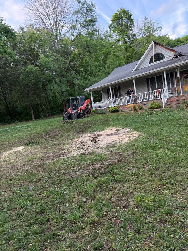 Stump Removal