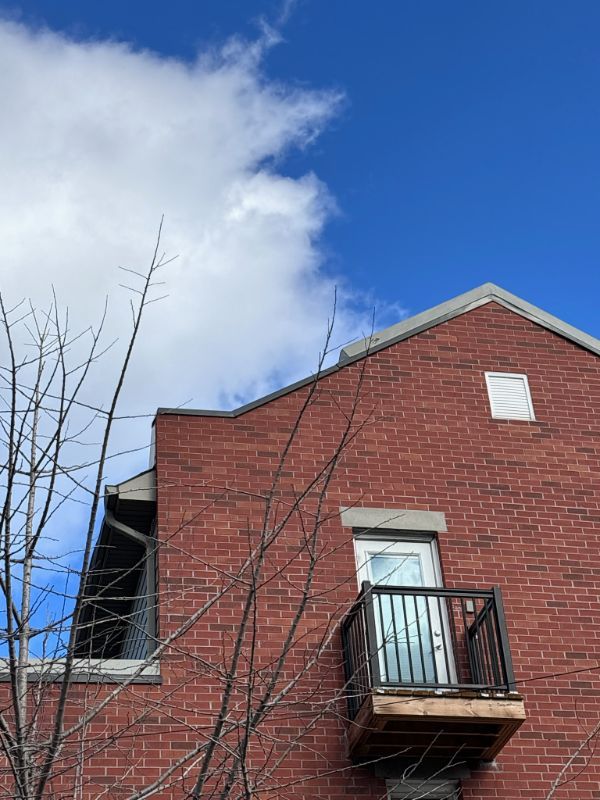 Toronto Triumph: Elevating Roof Repairs with Precision and Excellence