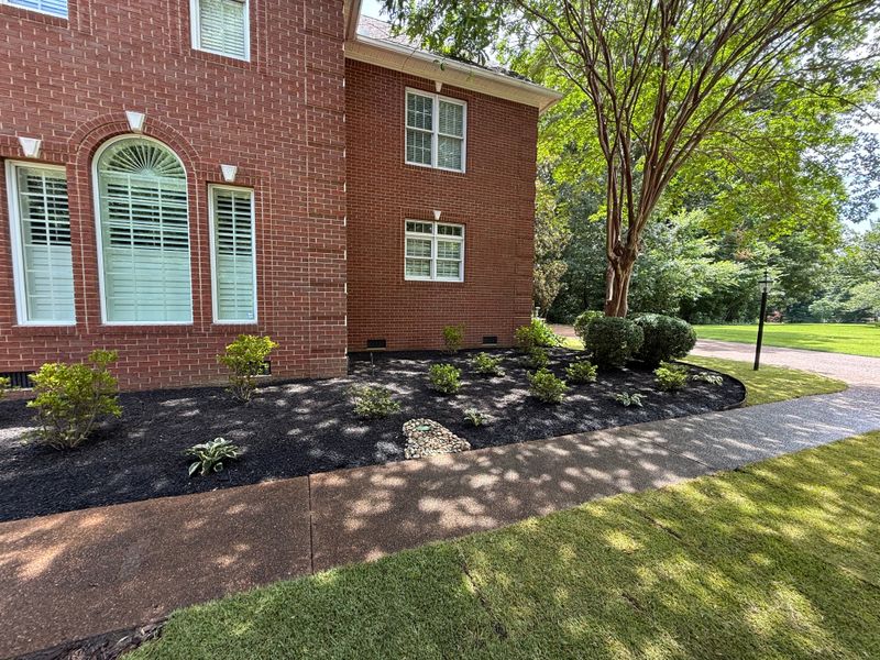 Plant & Shrub Installations