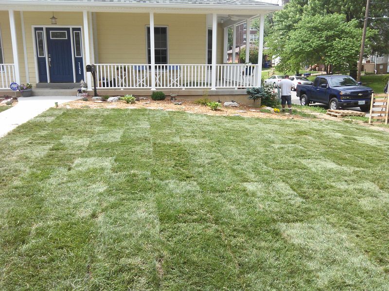 Sod Installation