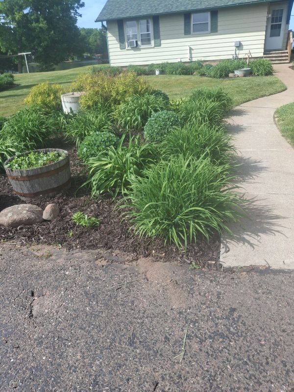 Landscape Design