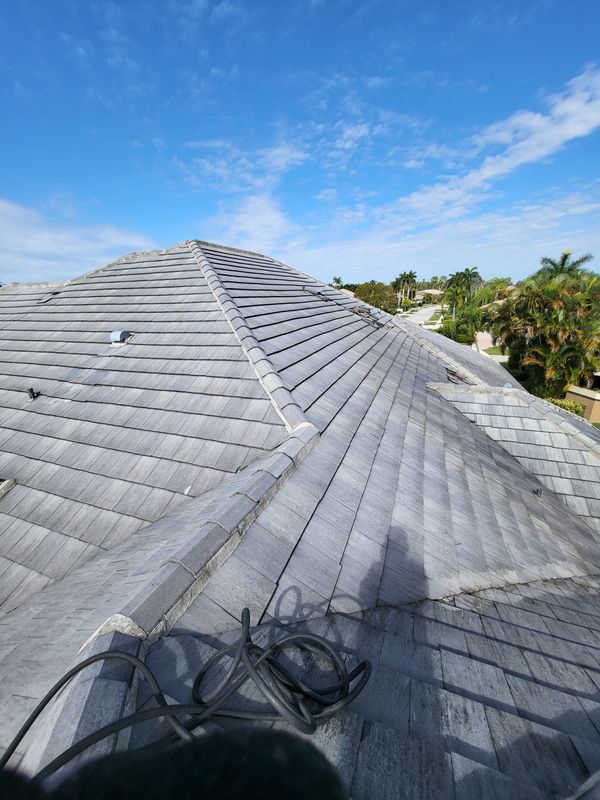 Roof and Gutter Cleaning