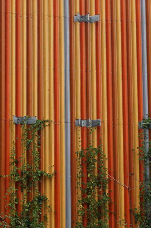 Siding Installation and Repair