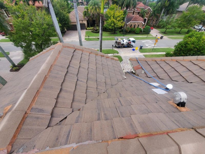 Transforming Roofscapes: A Soft Wash Success in Wellington's Versailles