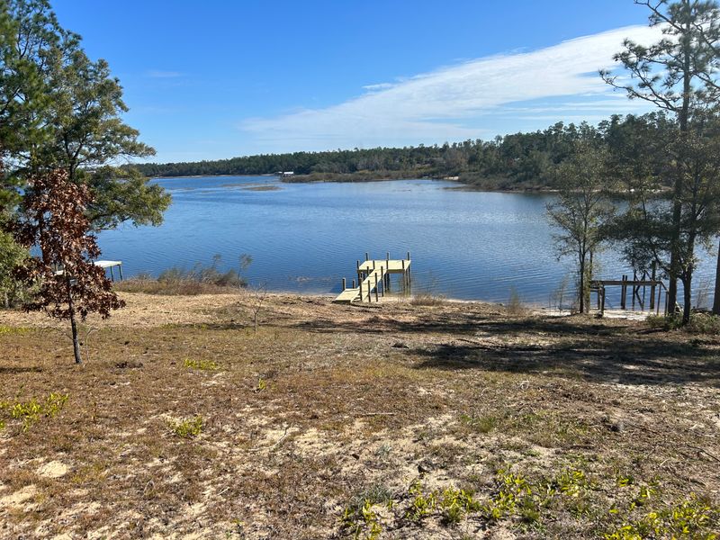 Land Clearing/ Forestry mulching gallery