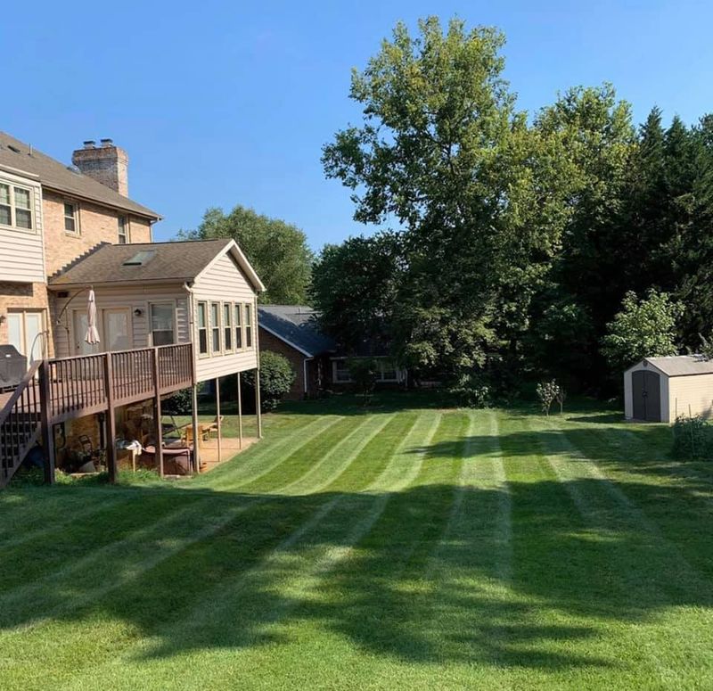 Lawn Maintenance gallery