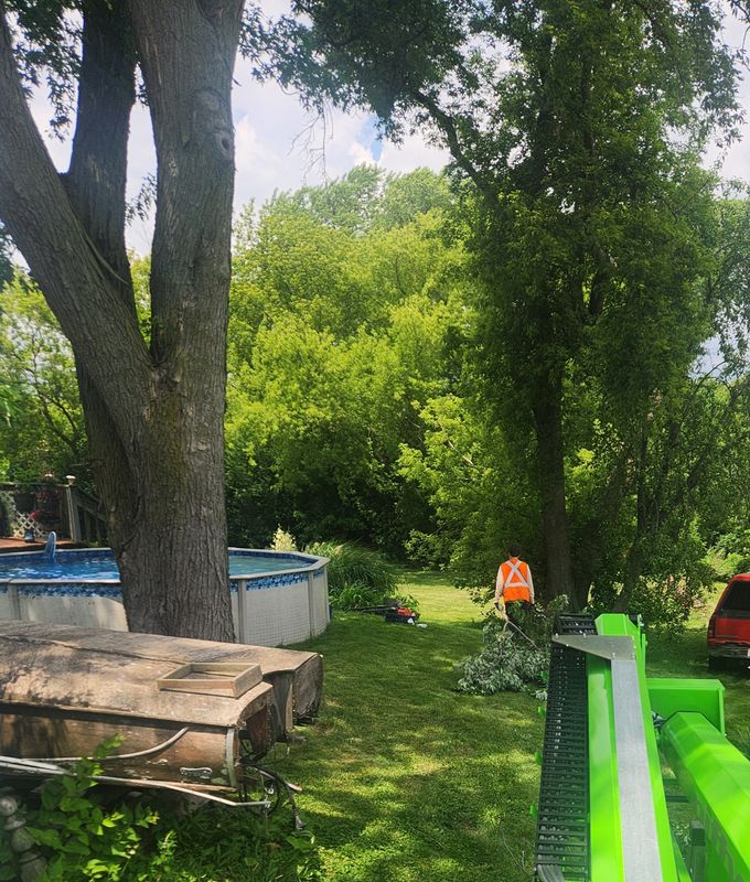 Tree Trimming