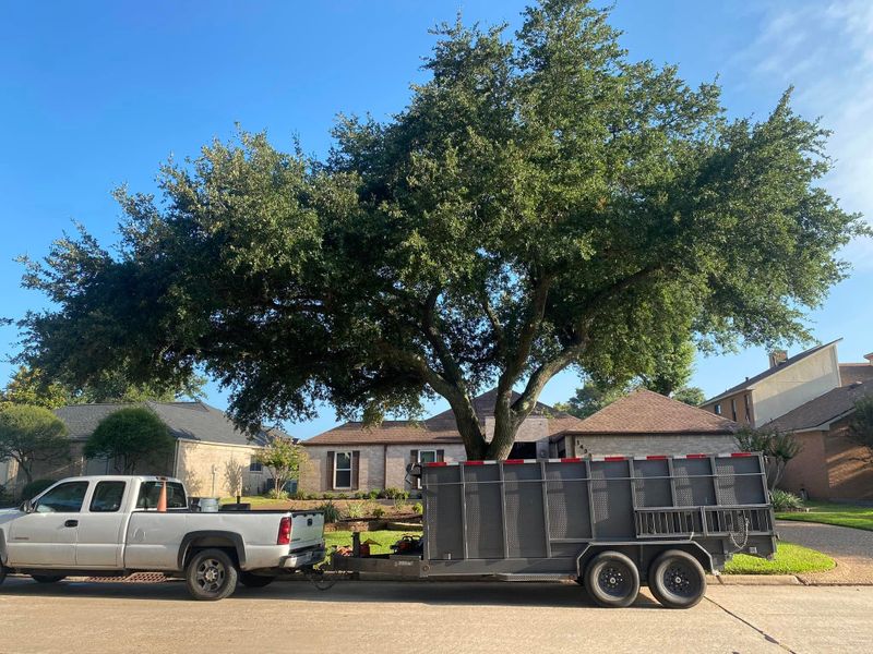 Mulch Installation