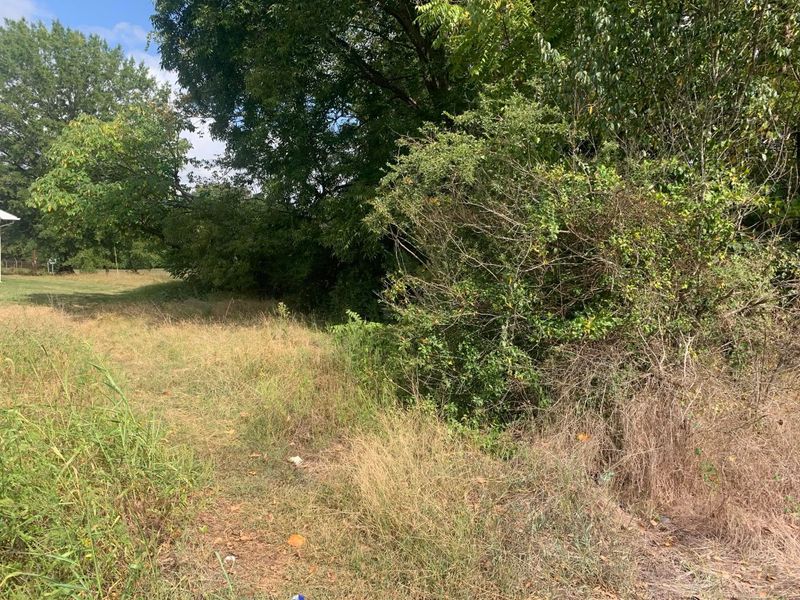 Tree & Brush Removal