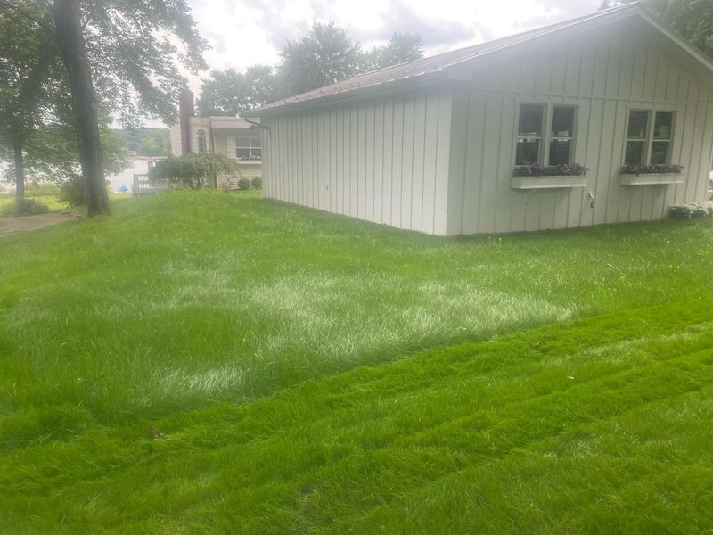 Lawn Care