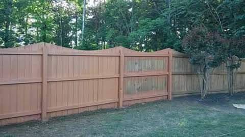 FENCES