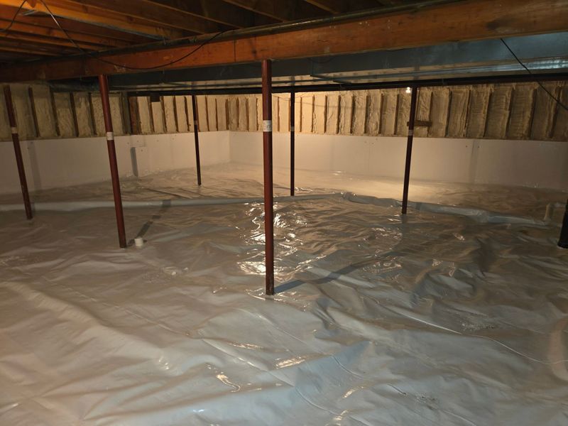 Basement Repair
