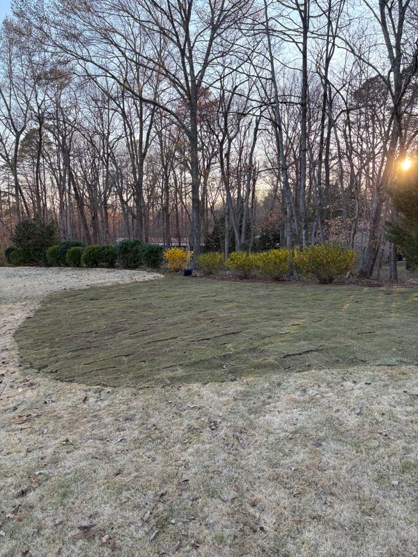 Sod Installation