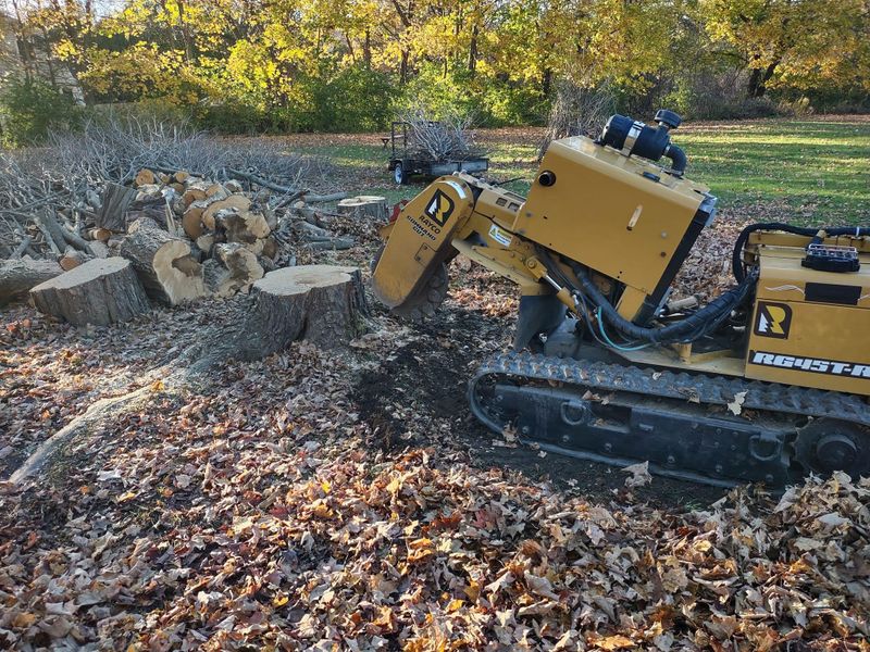 Stump Grinding