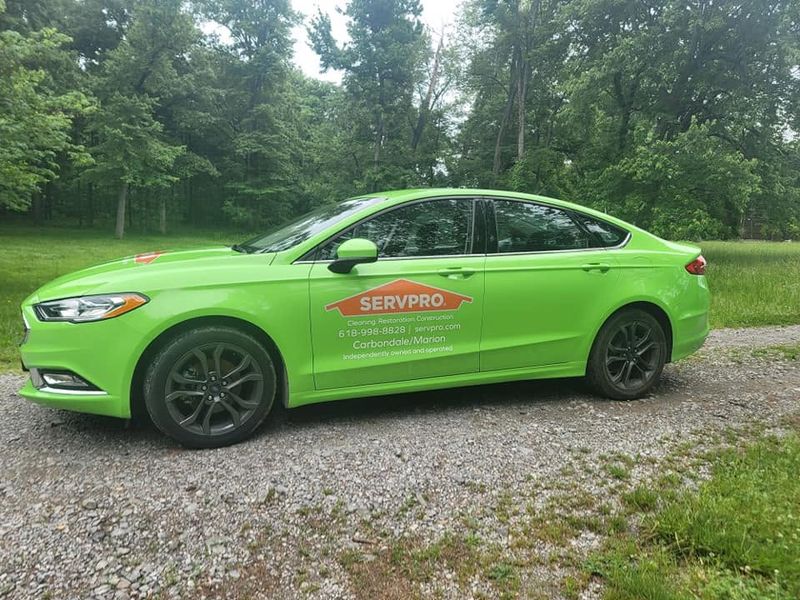 Vehicle Wraps