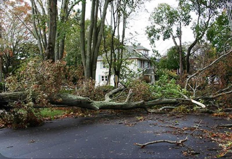Land Clearing & Demolition