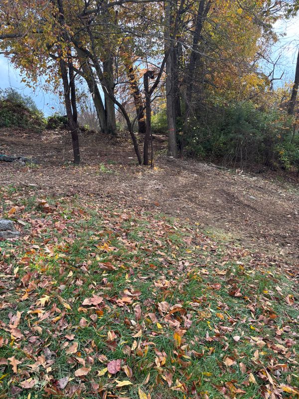Forestry Mulching