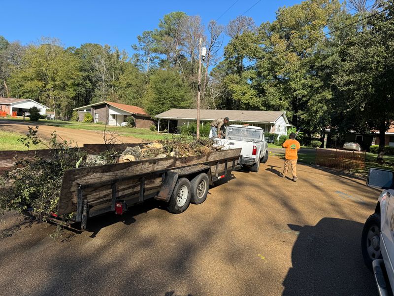 Tree Debris Removal