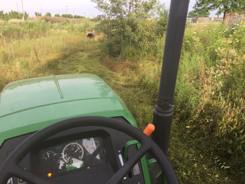 Field Mowing
