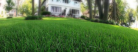 Aeration & Seeding