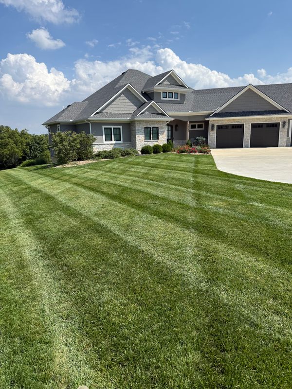 Lawn Mowing