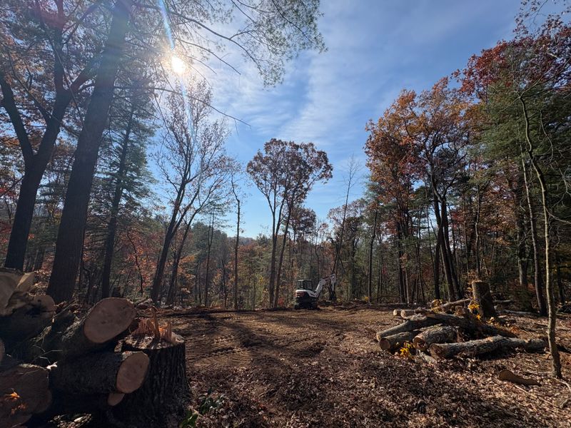 Forestry & Timberland Services