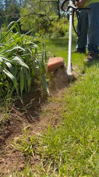Lawn Maintenance