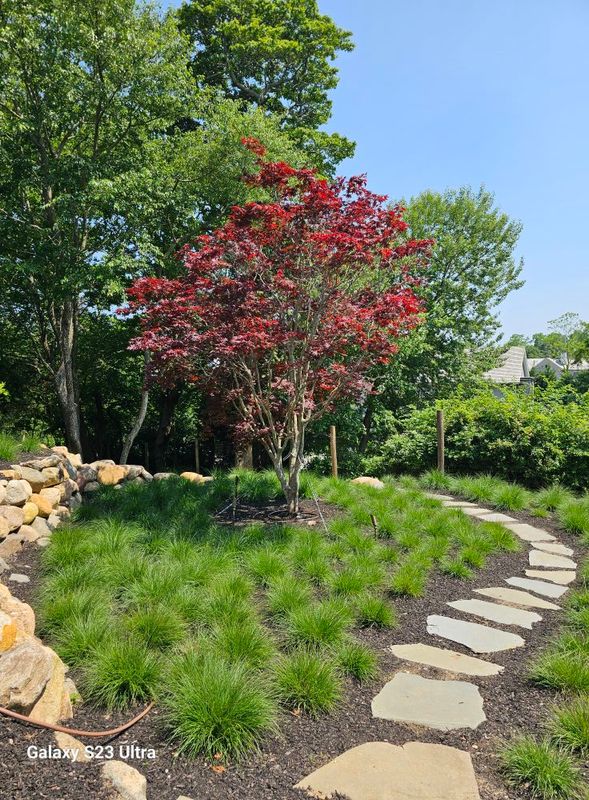 Garden Maintenance