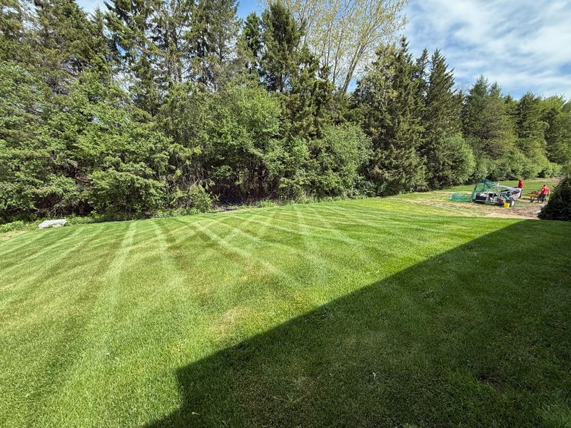 Lawn Mowing