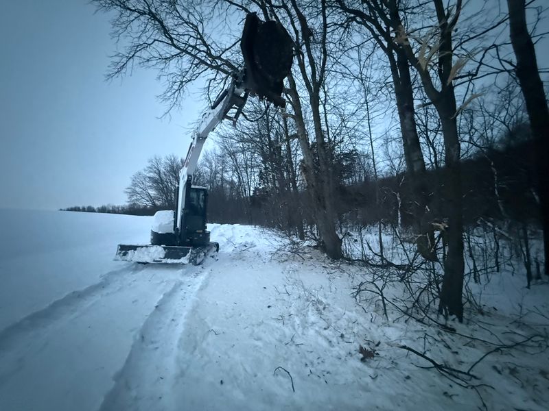 Land Clearing & Demolition