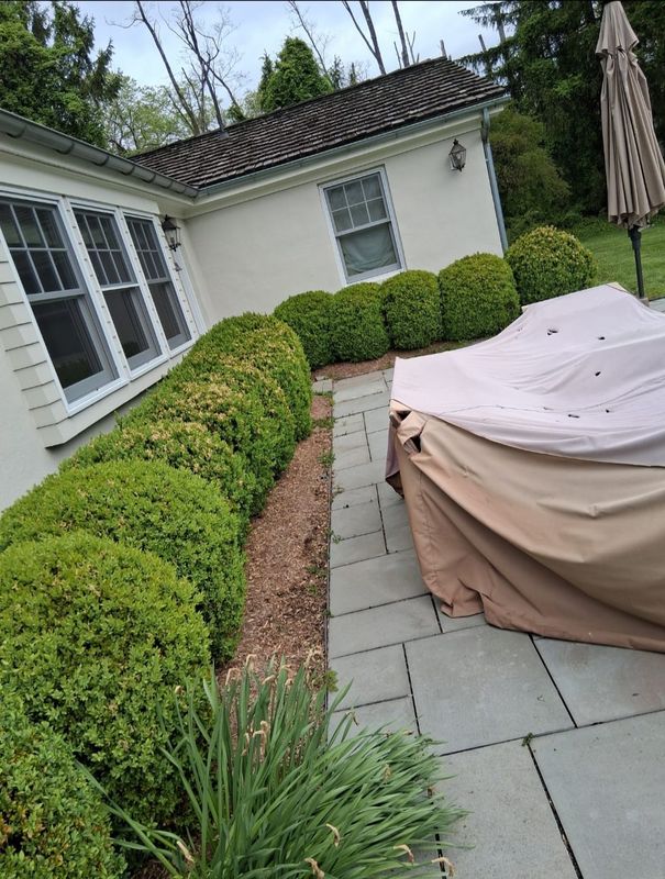 Patio Construction