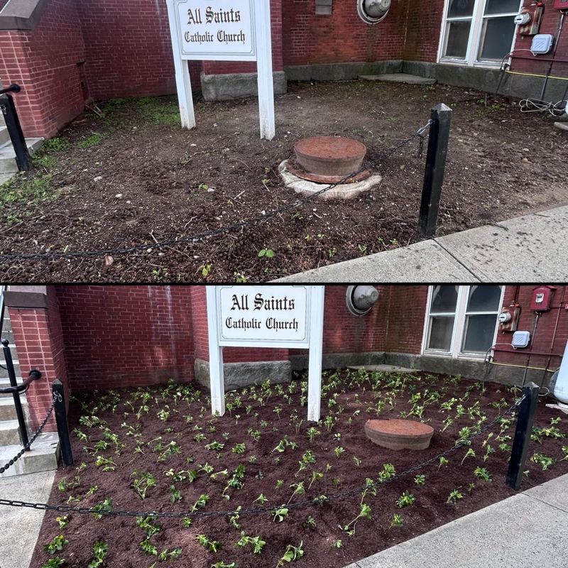 Landscape Design