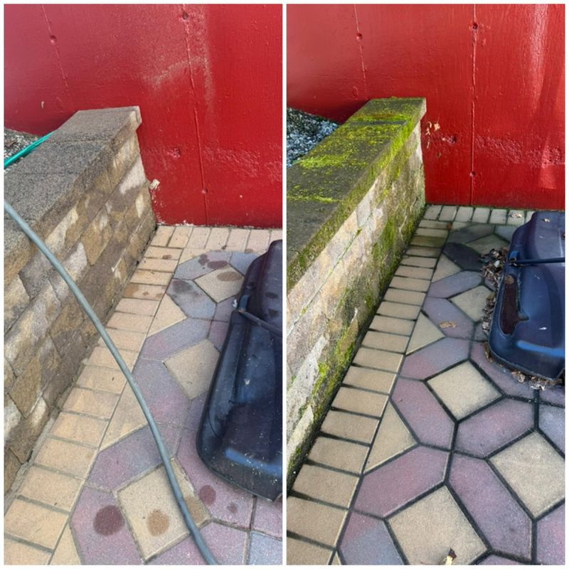 House Pressure Washing