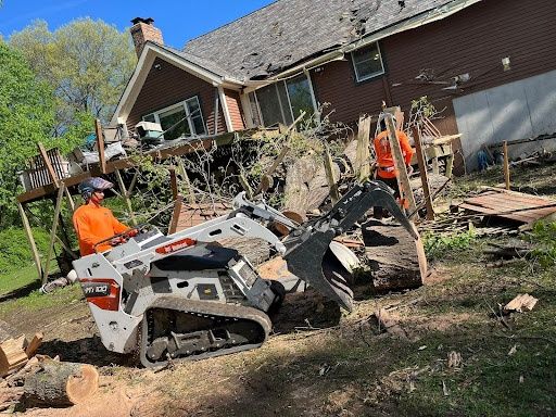 Tree Removal
