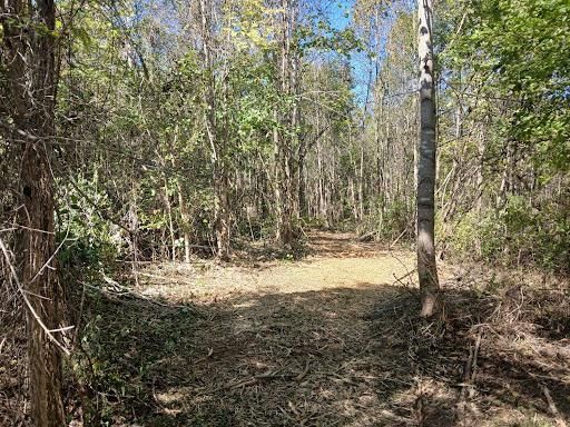 Forestry Mulching
