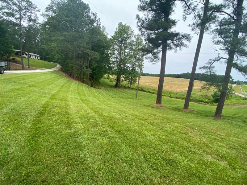 Lawn Mowing