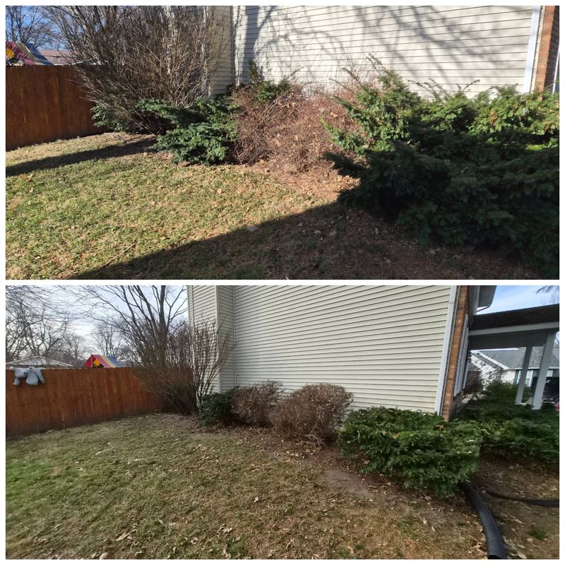 Seasonal Cleanups