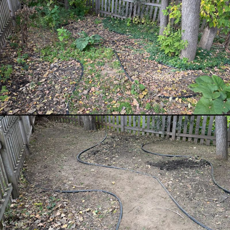 Seasonal Clean-ups