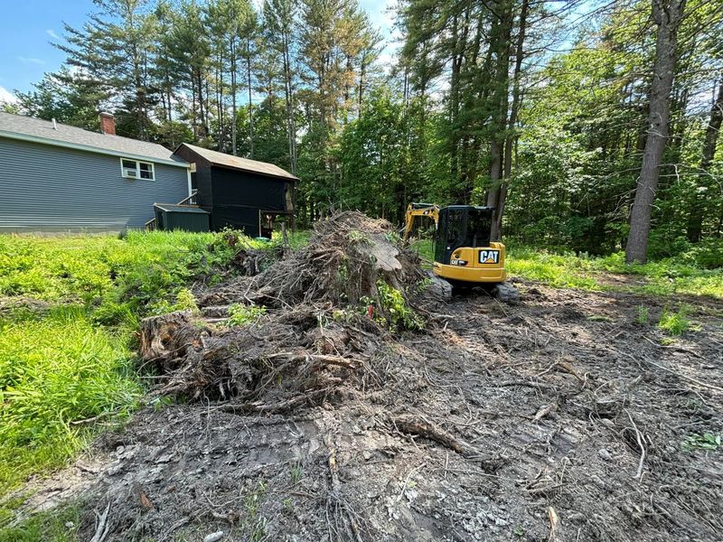 Land Management