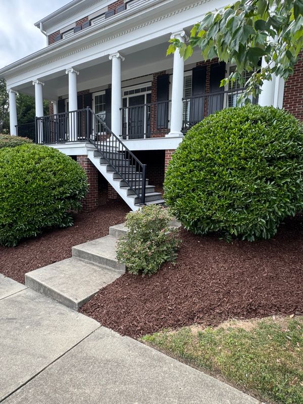 Shrub Trimming