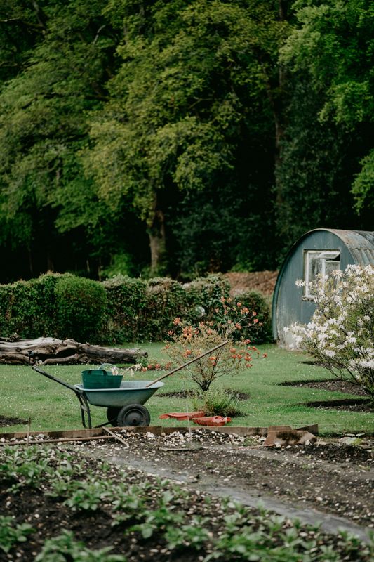 Garden Maintenance