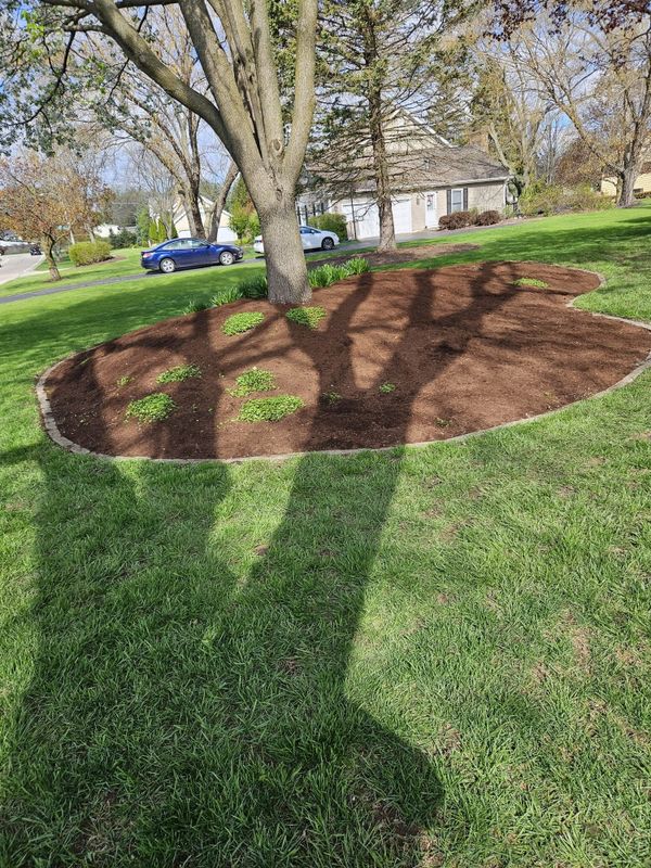 Mulching