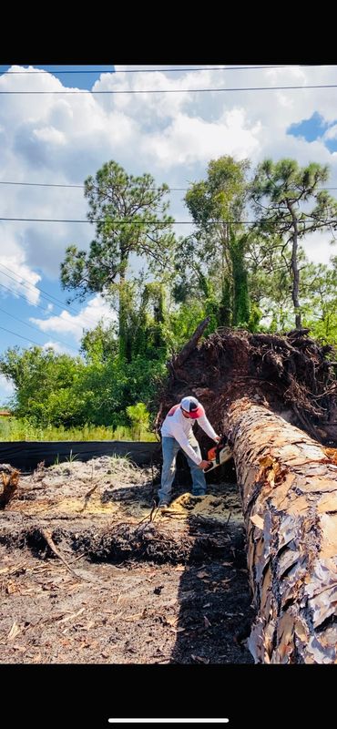 Land Clearing