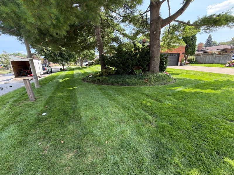 Lawn Care